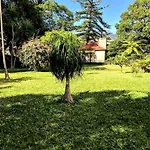 Apartment, With Pool Funchal (Madeira)