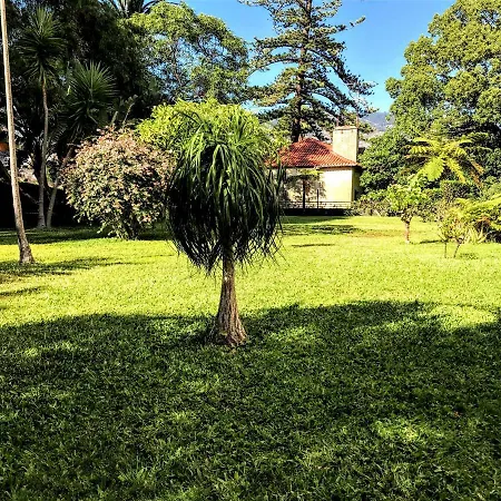 Apartment, With Pool Funchal (Madeira)