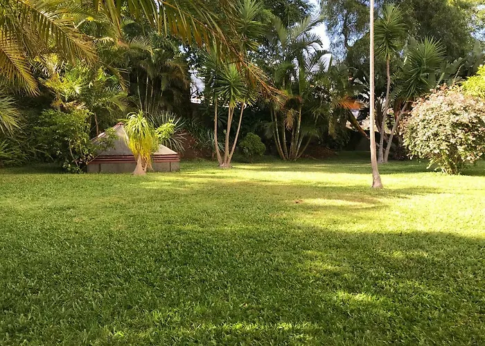 Apartment, With Pool Appartement Funchal (Madeira)