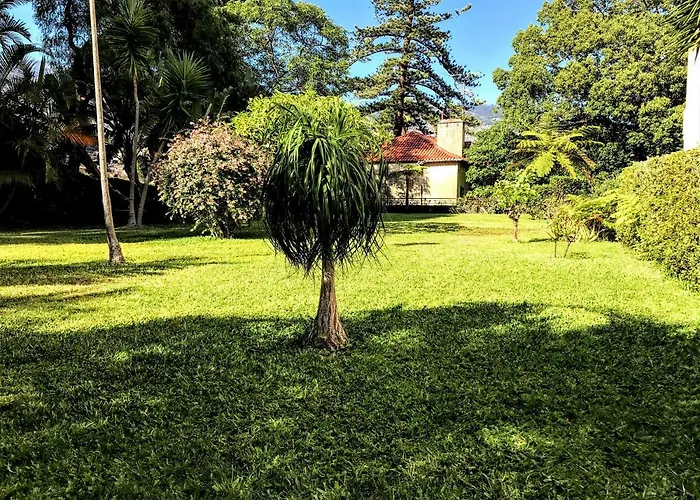 Apartment, With Pool Funchal (Madeira)